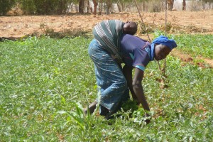 Burkina Faso 2018 025